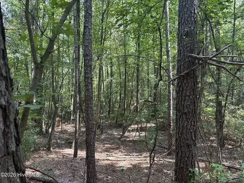 lot E Ridge Rd, Appling, GA 30802 photo 11