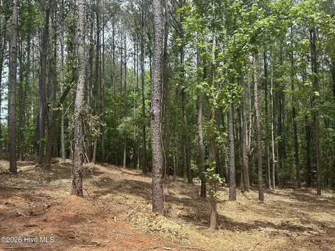 lot E Ridge Rd, Appling, GA 30802 photo 6