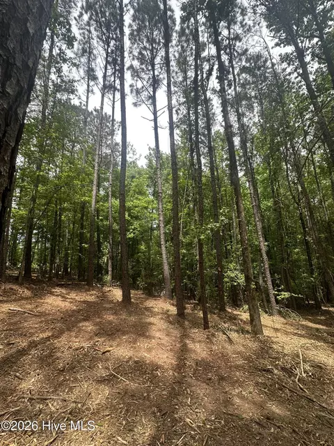 lot E Ridge Rd, Appling, GA 30802 photo 8