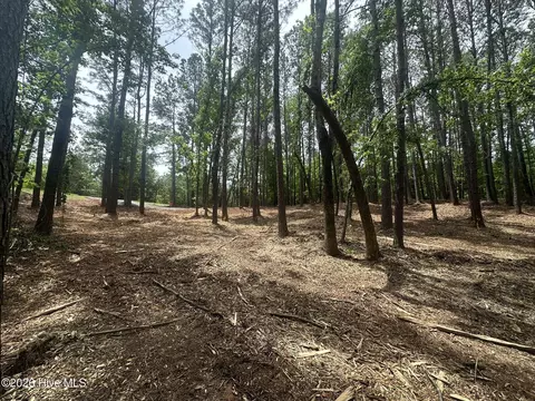lot E Ridge Rd, Appling, GA 30802 photo 10