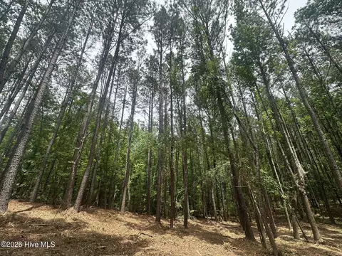 lot E Ridge Rd, Appling, GA 30802 photo 7