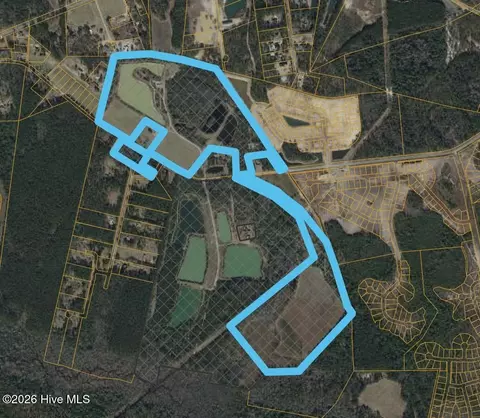 101 Acres Old Highway 90, Conway, SC 29526