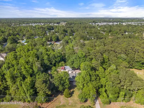 View/Area - 981 Sloop Point Loop Rd, Hampstead, NC 28443 photo 2 of 6