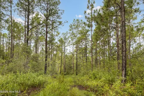 2 Us 17, Hampstead, NC 28443 photo 23