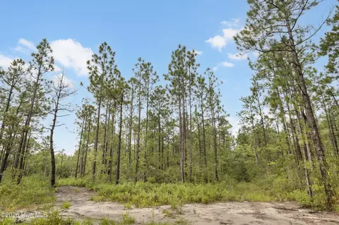 2 Us 17, Hampstead, NC 28443 photo 8