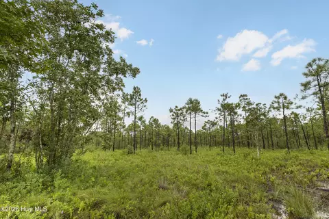 2 Us 17, Hampstead, NC 28443 photo 6