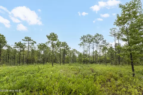 2 Us 17, Hampstead, NC 28443 photo 19