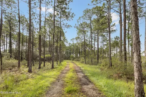 2 Us 17, Hampstead, NC 28443 photo 26