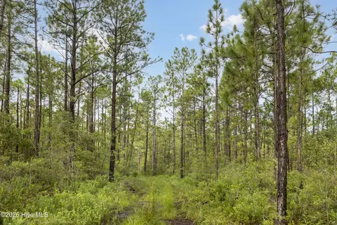 2 Us 17, Hampstead, NC 28443 photo 9
