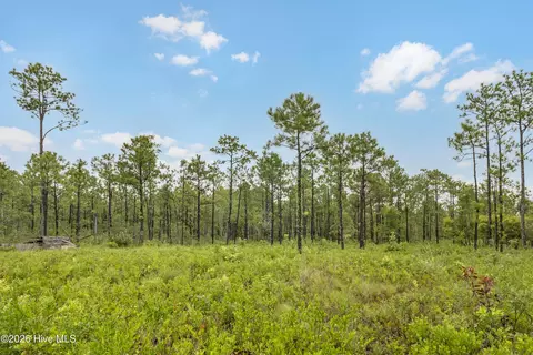 2 Us 17, Hampstead, NC 28443 photo 7