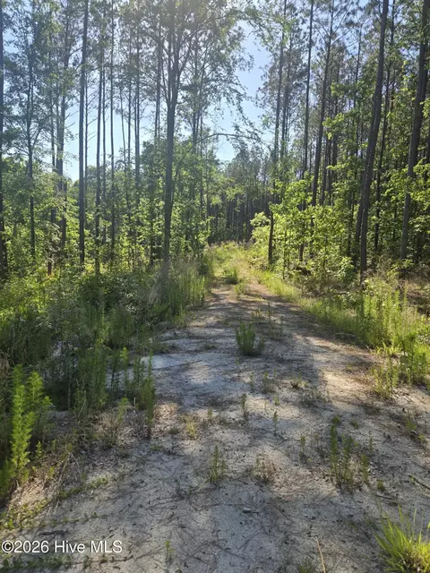 1048 Serenity Pointe Dr, Lincolnton, GA 30817