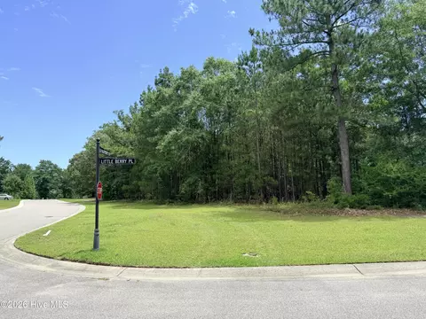 3702 Little Berry Pl NE, Leland, NC 28451