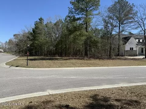 3702 Little Berry Pl NE, Leland, NC 28451