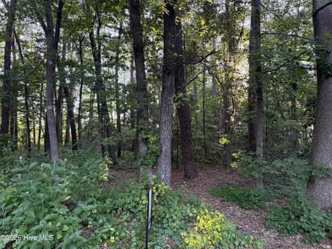 lot7 Boyd Park Dr, Greenville, NC 27858