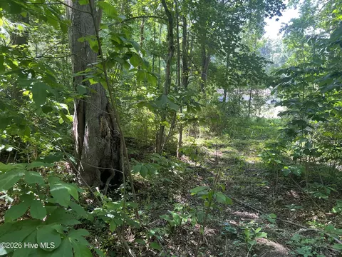 136 Bison Dr, Moyock, NC 27958 photo 2
