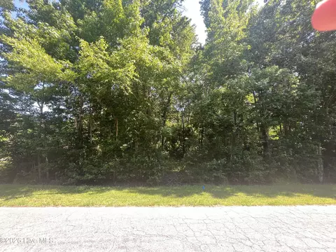136 Bison Dr, Moyock, NC 27958 photo 6