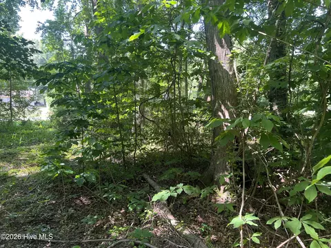 136 Bison Dr, Moyock, NC 27958 photo 3