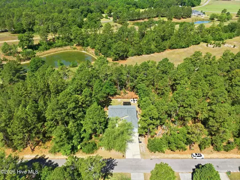 View/Area - 750 Thrush Dr, Vass, NC 28394 photo 1 of 3