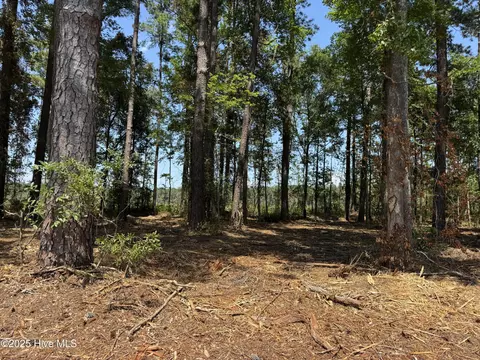 lot6 Near 4102 Swamp Fox Hwy W, Tabor City, NC 28463