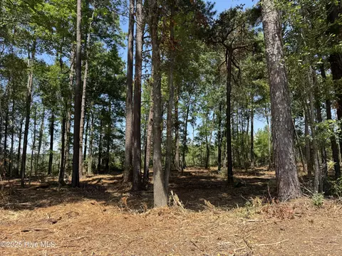 lot5 Near 4102 Swamp Fox Hwy W, Tabor City, NC 28463