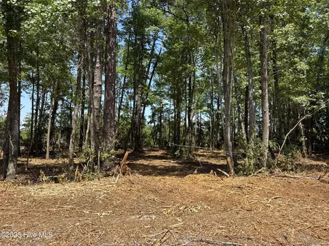 lot4 Near 4102 Swamp Fox Hwy W, Tabor City, NC 28463