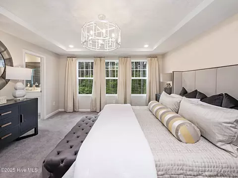 Bedroom - 5851 Mill Stone Way W, Sims, NC 27880 photo 4 of 5