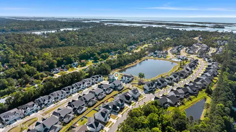 View/Area - 3121 Painted Turtle Loop, Wilmington, NC 28409 photo 6 of 9