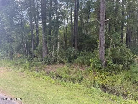 2539 Chauncey Town Rd, Lake Waccamaw, NC 28450