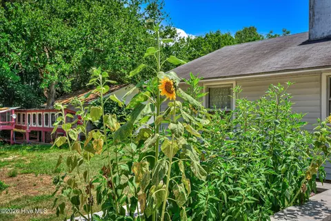 Exterior - 3001 Jasmine Pl, Augusta, GA 30906 photo 3 of 21