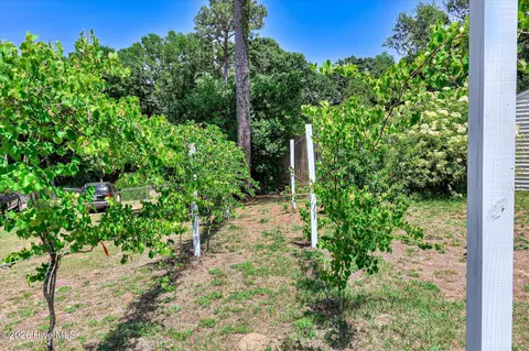 Other - 3001 Jasmine Pl, Augusta, GA 30906 photo 11 of 12