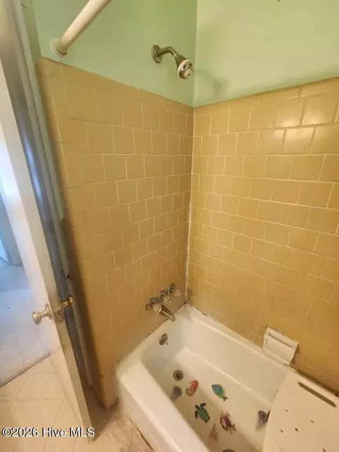 Bath - 134 E Circle Dr, Hamilton, NC 27840 photo 3 of 3