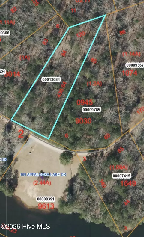 lot84 Appaloosa Lake Dr, Carthage, NC 28327