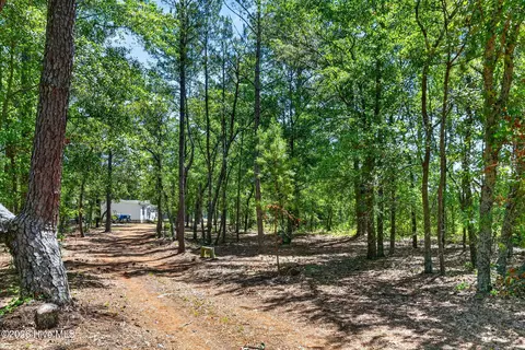 21549 Nc 210, Ivanhoe, NC 28447 photo 31