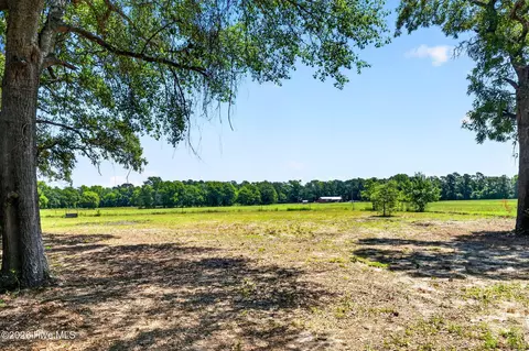 21549 Nc 210, Ivanhoe, NC 28447 photo 46