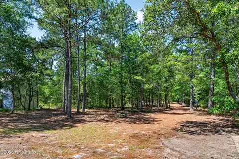 21549 Nc 210, Ivanhoe, NC 28447 photo 51