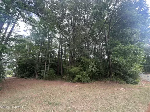 0 Mclamb St, Roseboro, NC 28382