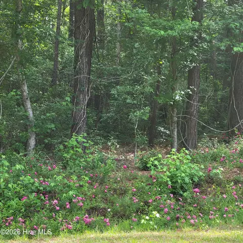 lot5 A Porter Rd, Currie, NC 28435