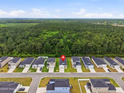 View/Area - 502 Ladyfish Loop NW, Sunset Beach, NC 28468 photo 3 of 8