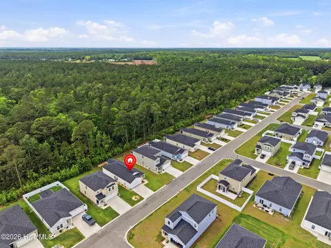 View/Area - 502 Ladyfish Loop NW, Sunset Beach, NC 28468 photo 7 of 8