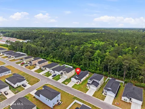 View/Area - 502 Ladyfish Loop NW, Sunset Beach, NC 28468 photo 4 of 8
