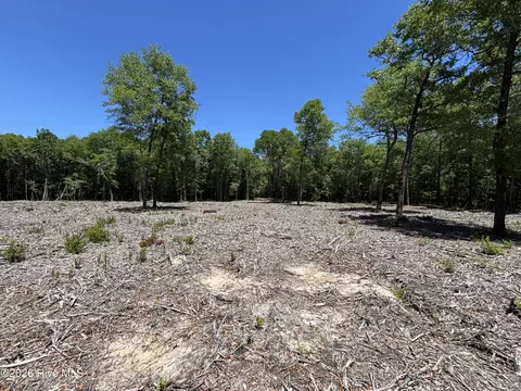 0 Warbonnet Rd, Springfield, SC 29146 photo 6