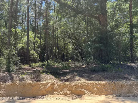 0 Warbonnet Rd, Springfield, SC 29146 photo 9