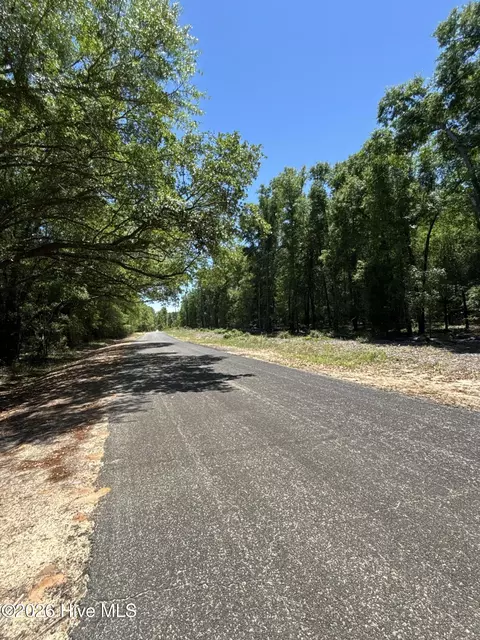 0 Warbonnet Rd, Springfield, SC 29146 photo 2