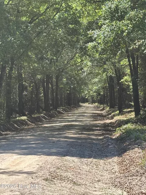 0 Warbonnet Rd, Springfield, SC 29146 photo 3