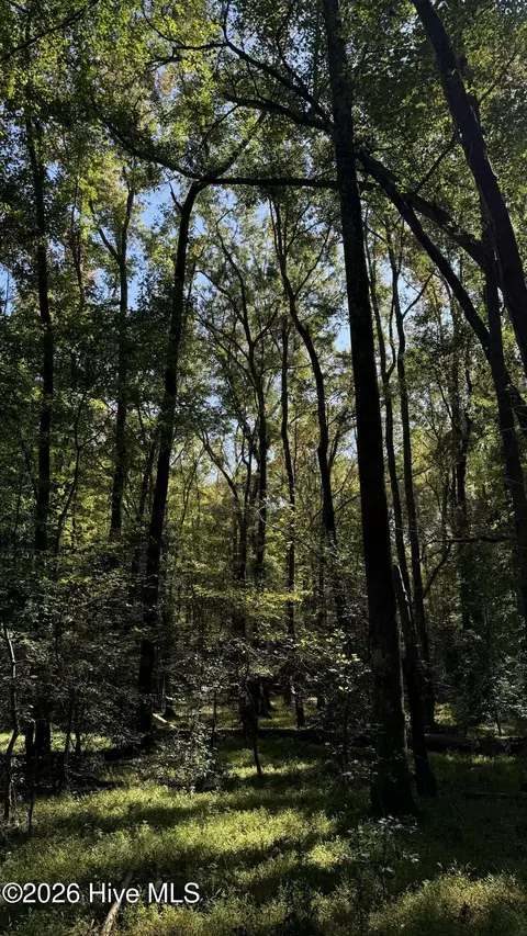 0 Union Church Rd, Cameron, NC 28326