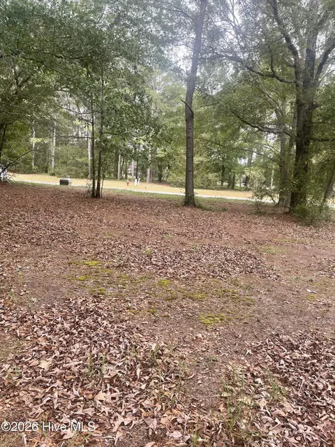 210 Cedar Point Dr, Wallace, NC 28466 photo 2