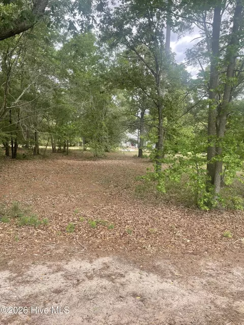 210 Cedar Point Dr, Wallace, NC 28466 photo 8