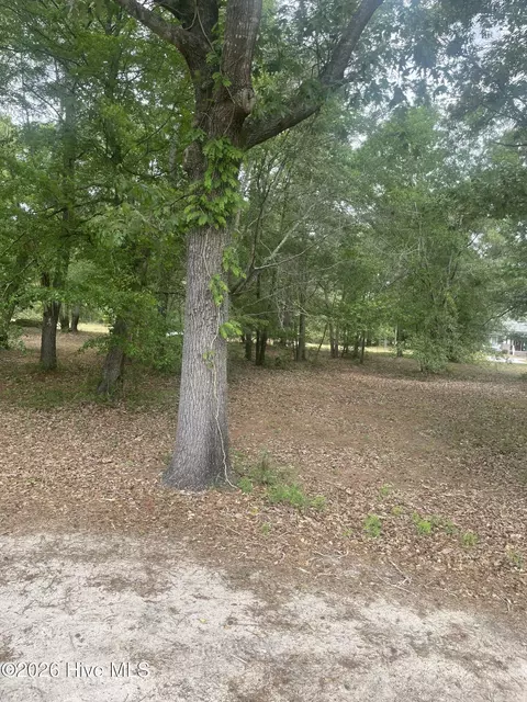 210 Cedar Point Dr, Wallace, NC 28466 photo 7