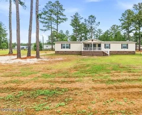 20941 Iris Dr, Wagram, NC 28396 photo 4
