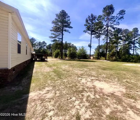 20941 Iris Dr, Wagram, NC 28396 photo 33